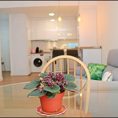 Apartament Apartamento Centro